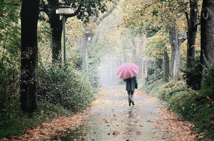 onde fica Washington